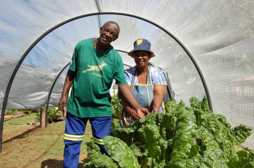 Paul and Ruth Mamome standing proud among their spinach crop. PHOTOS: MARICELLE BOTHA