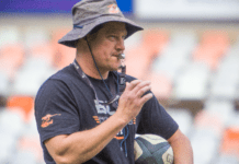 A legend leaves the Cheetahs Charl Strydom has spent 20 years at the Cheetahs as an assistant coach and during the time won the Currie Cup six times, and experienced the highs and lows. PHOTO: MORGAN PIEK