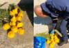 Two arrested in Meloding for possession of explosives